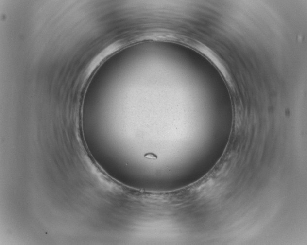 X0000088610861200706081432