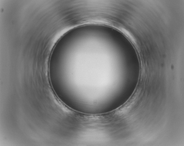 X0000088610862200706081432