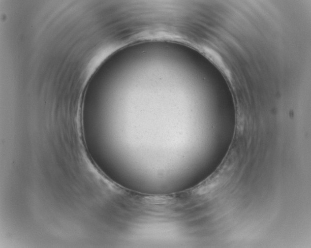 X0000088610863200706081432