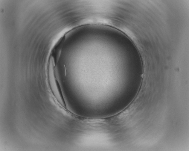 X0000088610864200706081432