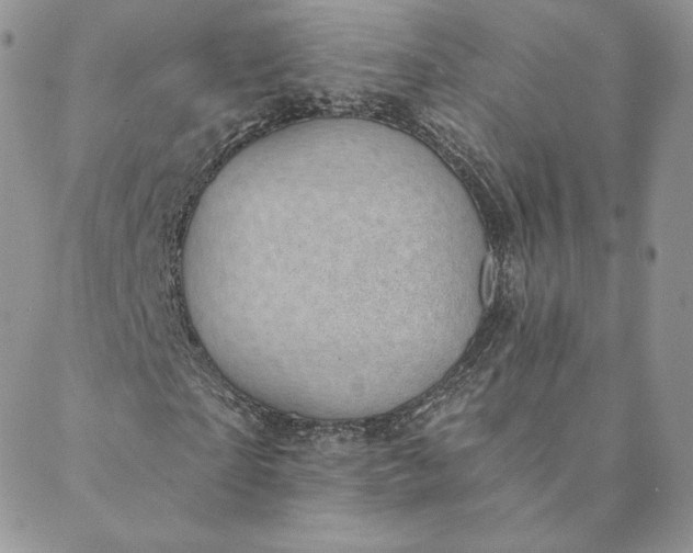 X0000088610865200706081432