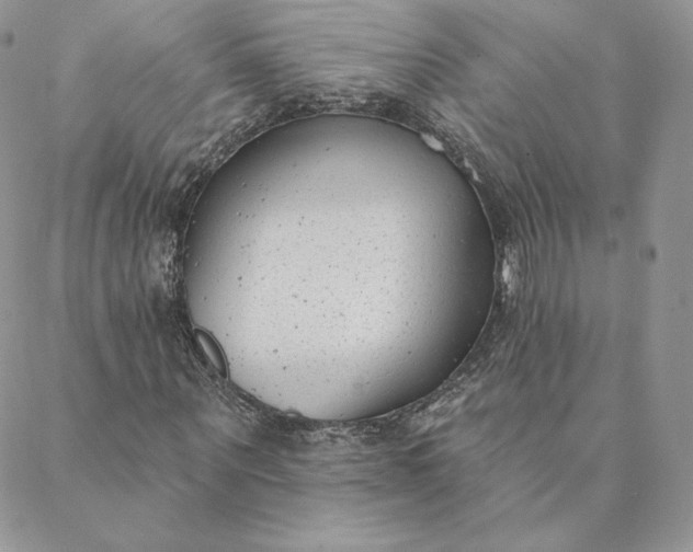 X0000088610867200706081432