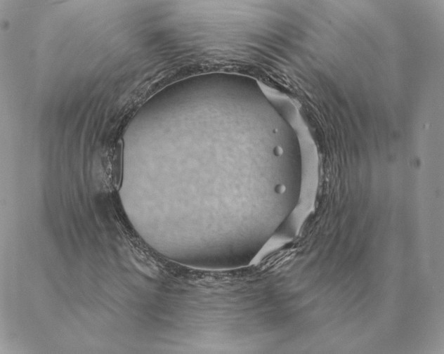 X0000088610868200706081432