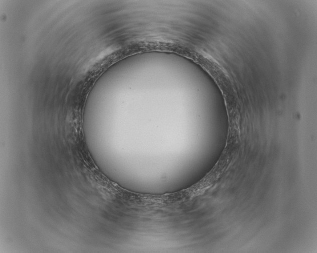 X0000088610870200706081432