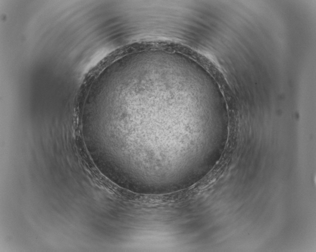 X0000088610871200706081432