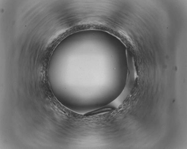 X0000088610872200706081432