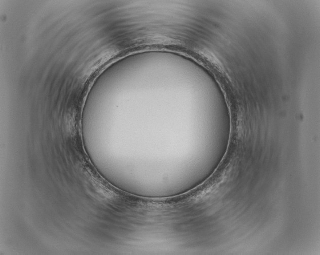 X0000088610873200706081432