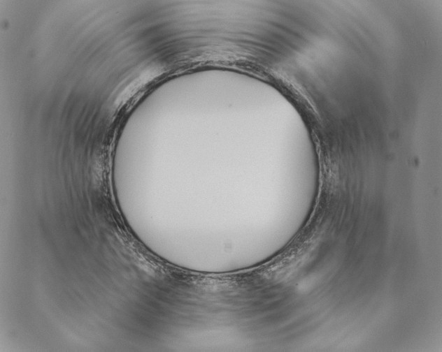 X0000088610874200706081432