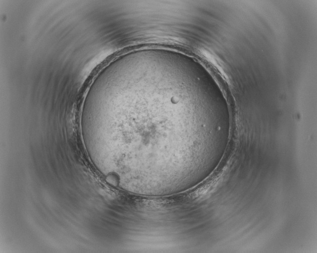 X0000088610875200706081431