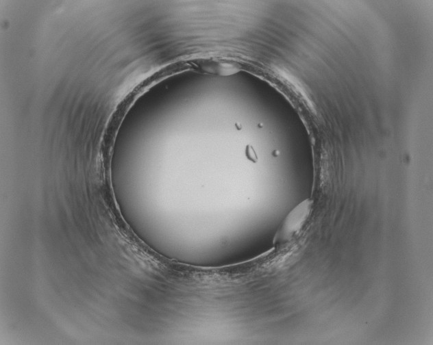 X0000088610876200706081431