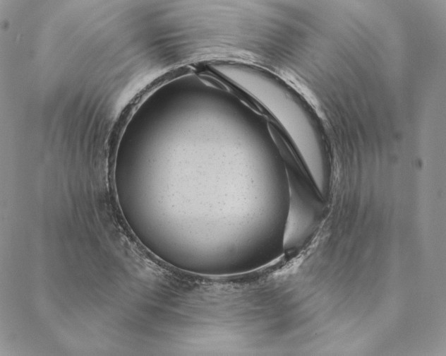 X0000088610877200706081431