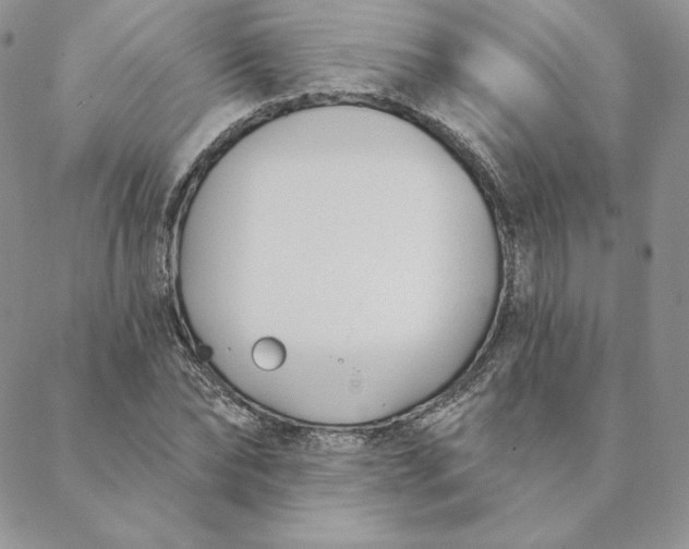 X0000088610878200706081431