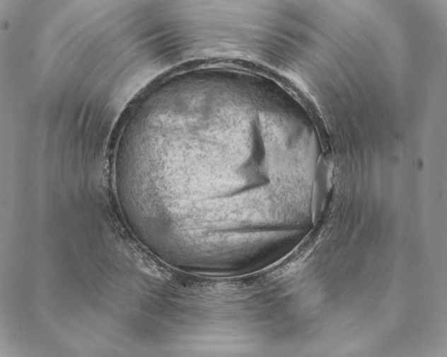 X0000088610879200706081431