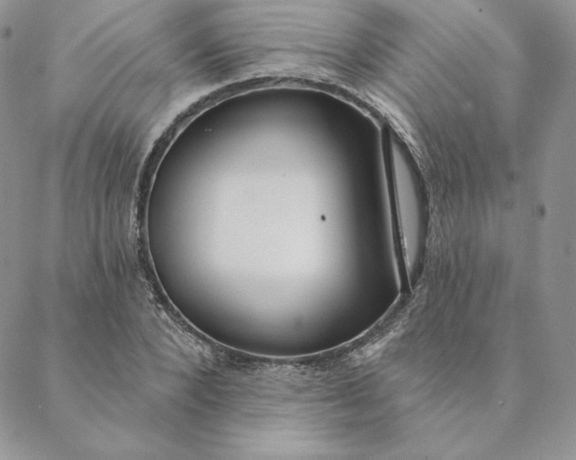 X0000088610880200706081431