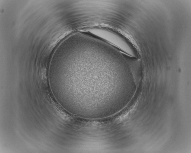 X0000088610881200706081431