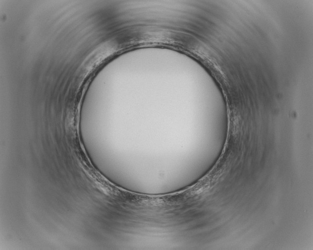 X0000088610882200706081431