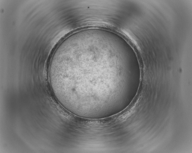 X0000088610883200706081431