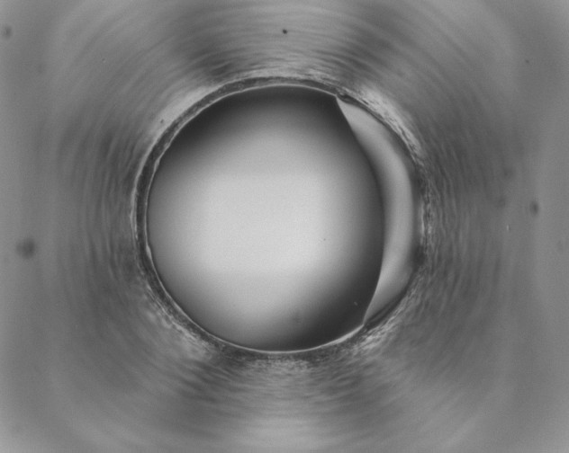 X0000088610884200706081431