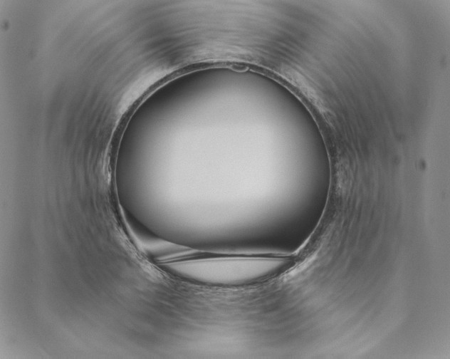 X0000088610885200706081431