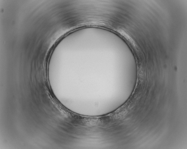 X0000088610886200706081431