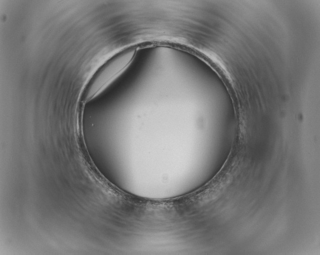 X0000088610887200706081431