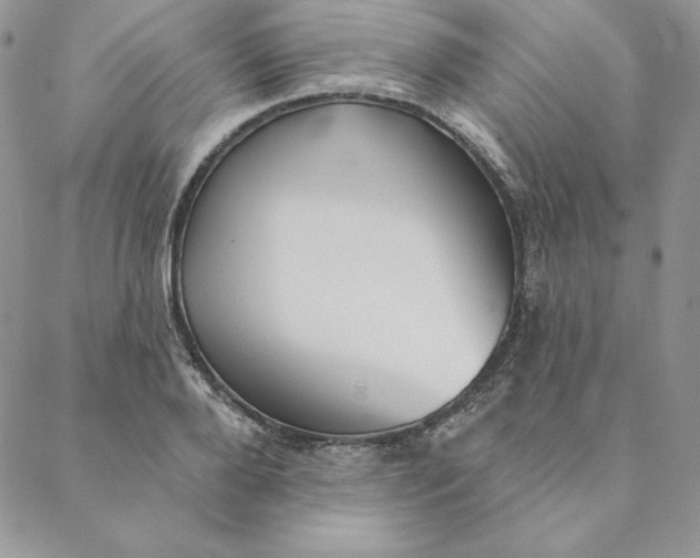 X0000088610888200706081431