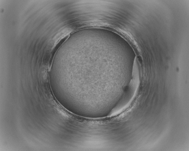 X0000088610889200706081431