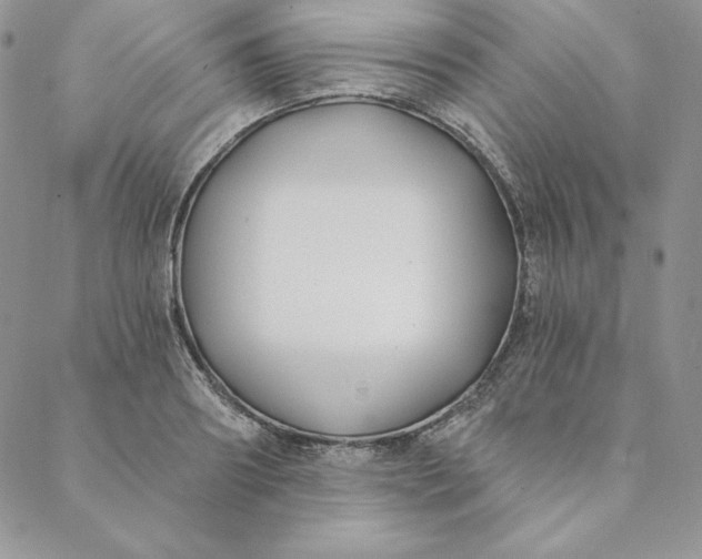 X0000088610890200706081431