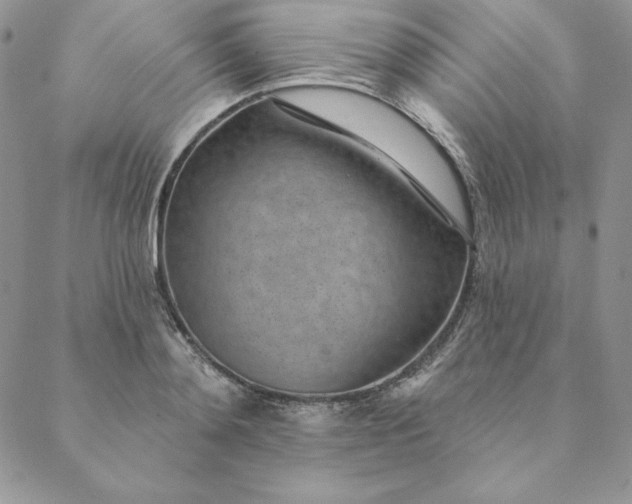 X0000088610892200706081431