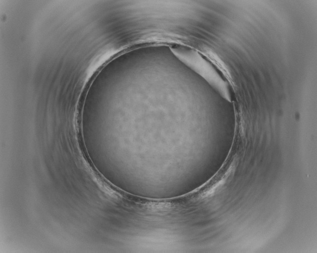 X0000088610893200706081431