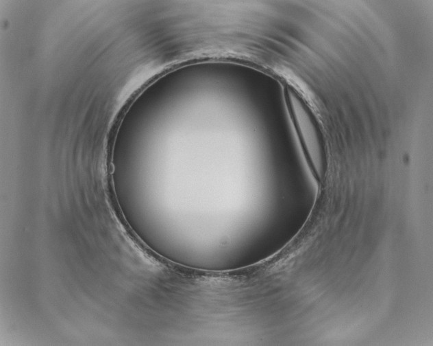 X0000088610894200706081431