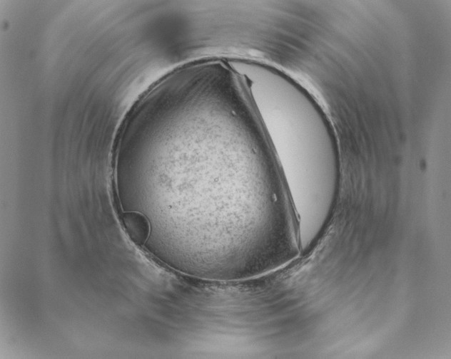 X0000088610895200706081431