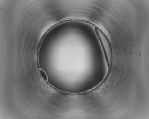 X0000088610896200706081431