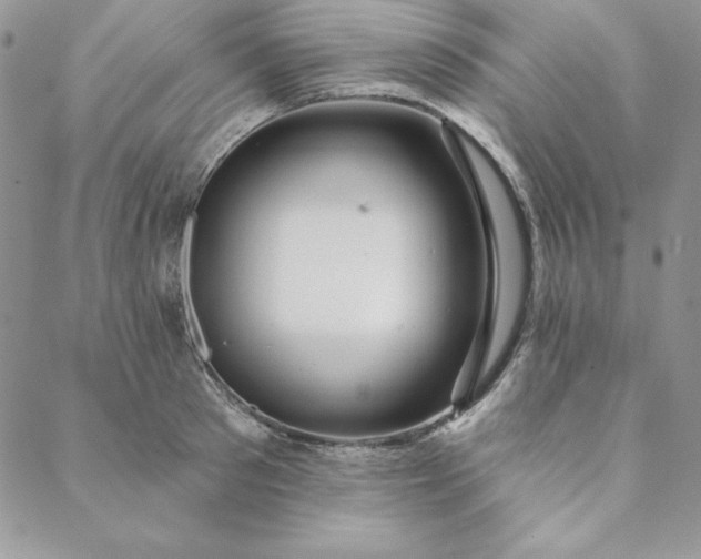 X0000088610897200706081431