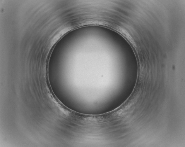 X0000088610898200706081431