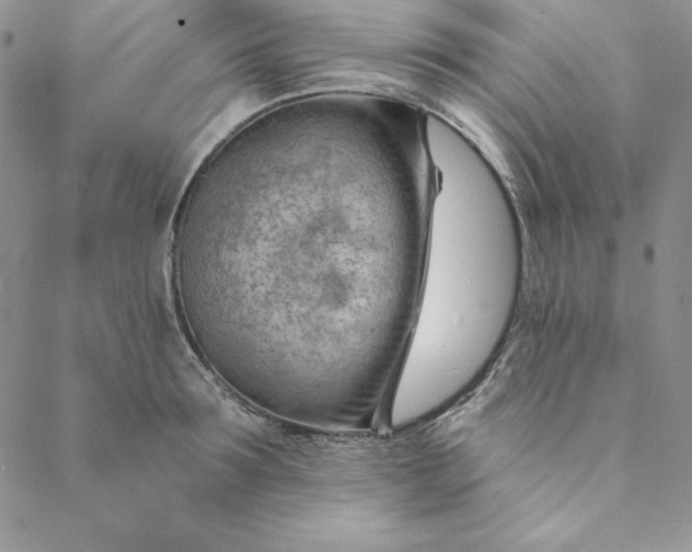 X0000088610899200706081431