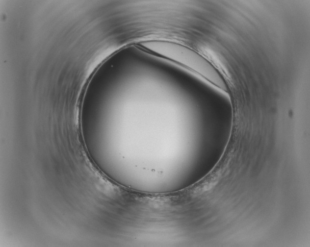 X0000088610900200706081431