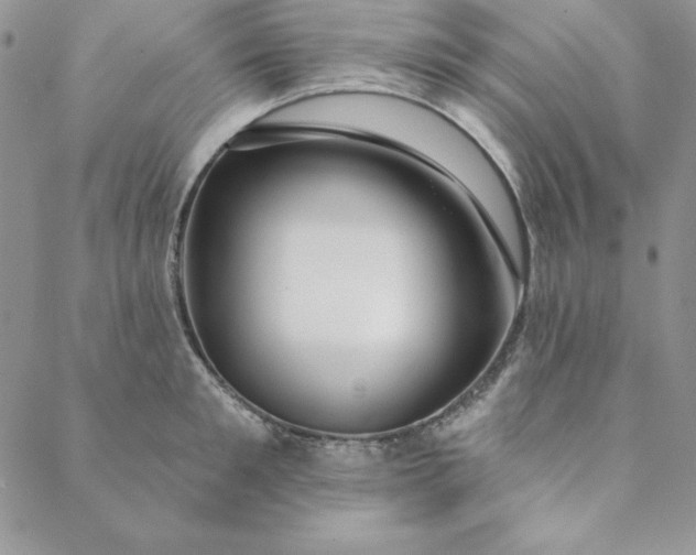 X0000088610901200706081431