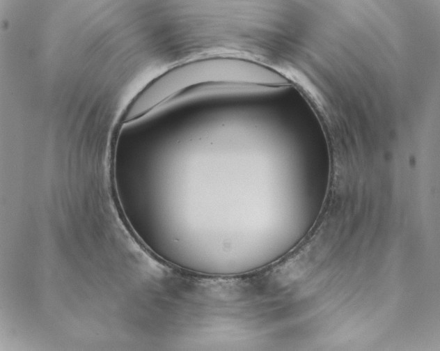 X0000088610902200706081431