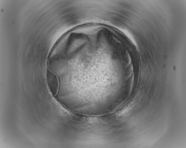 X0000088610903200706081431