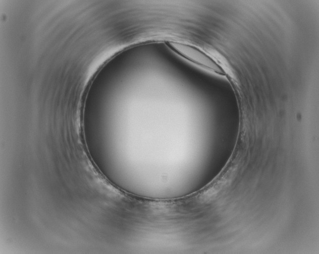 X0000088610904200706081431