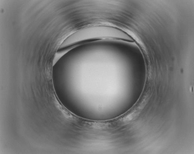 X0000088610905200706081431