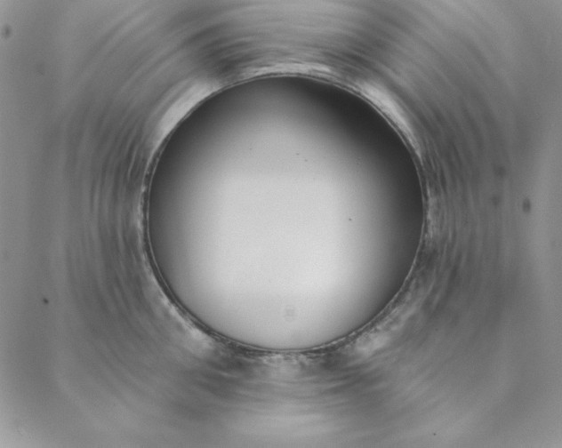 X0000088610906200706081431