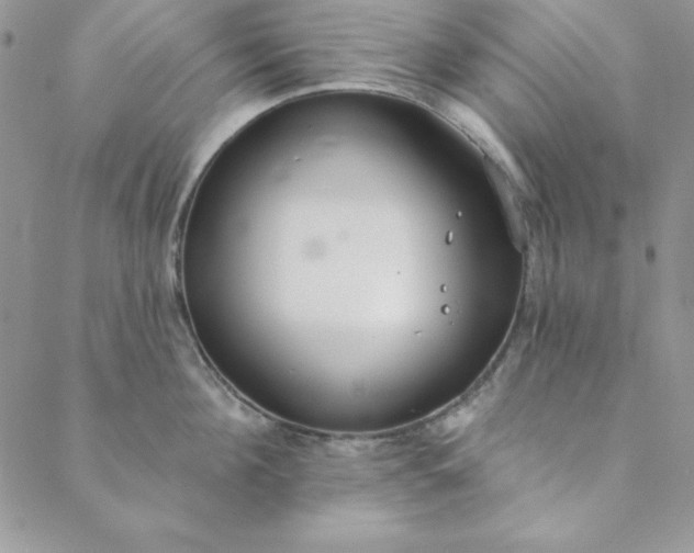 X0000088610908200706081431