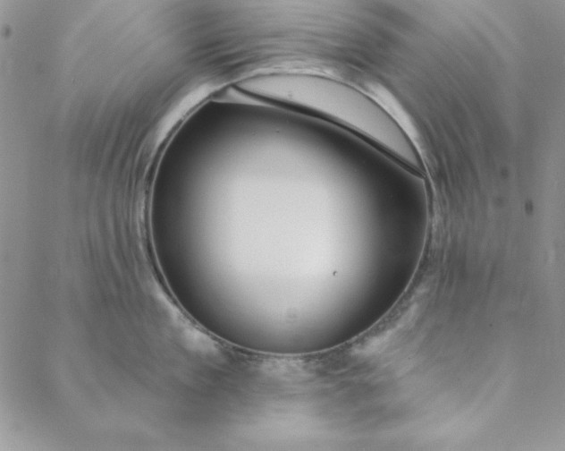 X0000088610909200706081431