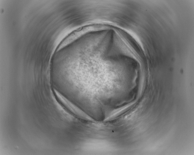 X0000088610911200706081431