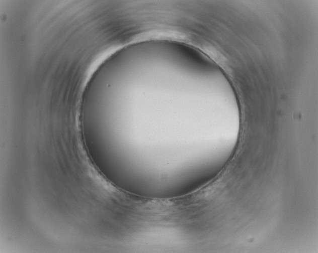 X0000088610912200706081431