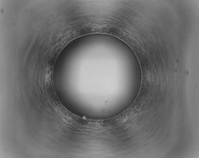 X0000088610914200706081430