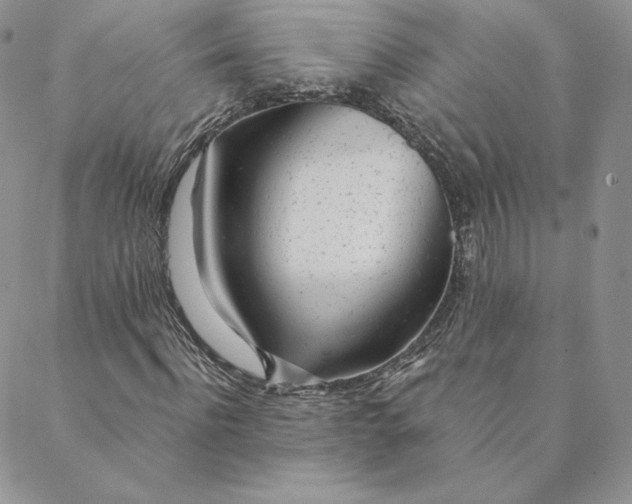 X0000088610916200706081430