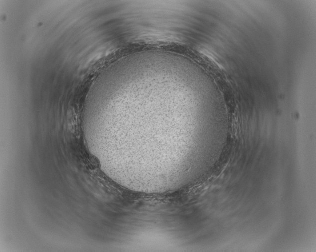 X0000088610917200706081430